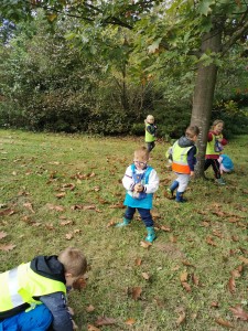 IMG_20201009_105811