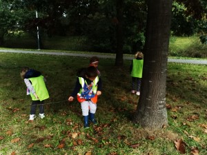 IMG_20201009_105833