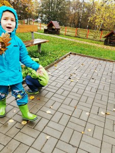 IMG_20201104_105730_1