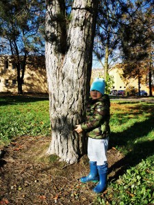IMG_20201106_104108