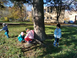 IMG_20201106_104445