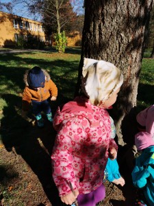 IMG_20201106_104529