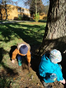 IMG_20201106_104531