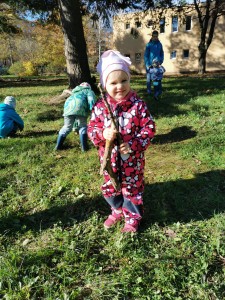 IMG_20201106_110159