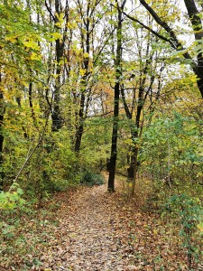 IMG_20201112_102226