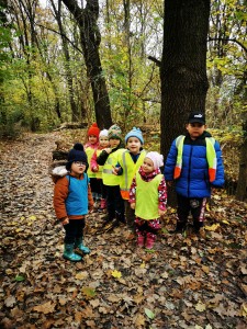 IMG_20201112_102452