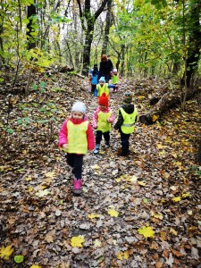 IMG_20201112_102533