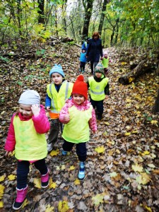 IMG_20201112_102535