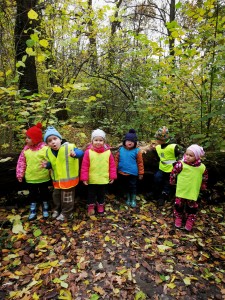 IMG_20201112_102944