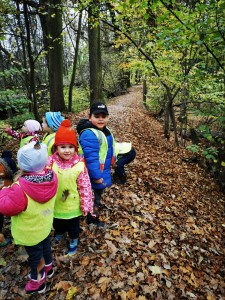 IMG_20201112_103702