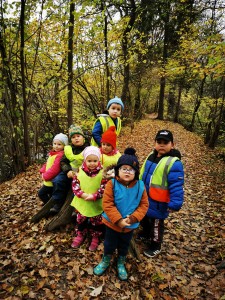 IMG_20201112_104156