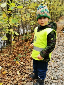 IMG_20201112_104741