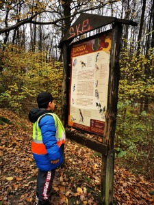 IMG_20201112_105851