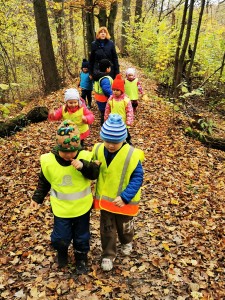 IMG_20201112_110037