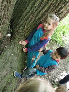 IMG-20210601-WA0012