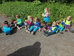 IMG-20210601-WA0017