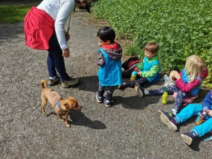 IMG-20210601-WA0018