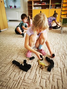IMG_20210610_092834