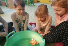 IMG_20181213_112819