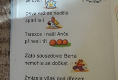 DSCN4937