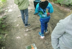 IMG_20210601_101215