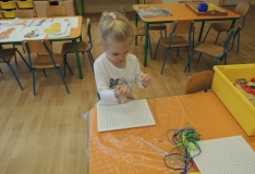 DSCN5465