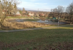 IMG_20201216_104647