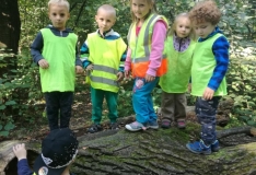 42146043_317626445653650_4979670990918254592_n