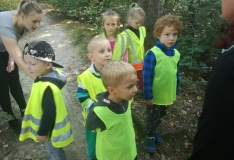 42203260_235782590619584_3021801632116506624_n