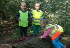 42301746_1893575354283825_6704822997099741184_n