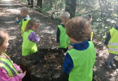 42332510_329435827811294_3983774637409435648_n