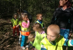 42340571_304443870352408_7889383103414665216_n