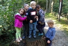 IMG_20190911_103603