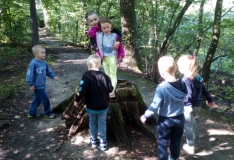 IMG_20190911_110137