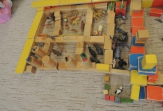 DSCN6281