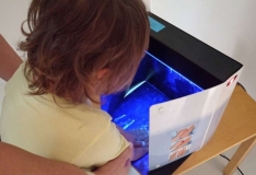 scaled-1000022744_327.1758882699-1000x0_w_1