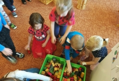 IMG_20191115_091142