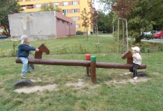 DSCN2414