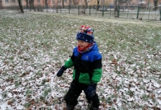IMG_20201210_105346