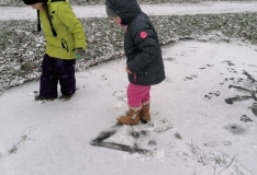 IMG_20201210_105610
