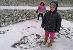 IMG_20201210_105655_1