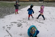 IMG_20201210_105828