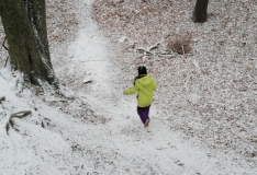 IMG_20201210_111342