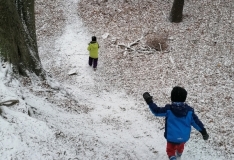 IMG_20201210_111343