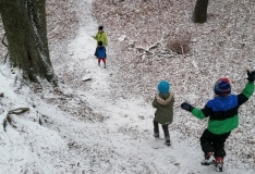 IMG_20201210_111346