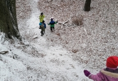 IMG_20201210_111348
