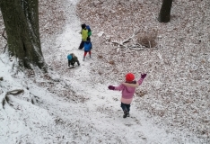 IMG_20201210_111349