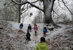 IMG_20201210_111437