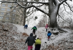 IMG_20201210_111441