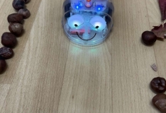 image-picker-4f110c1c-22dd-4239-b533-6aeb74cceaed-62680-000015506b415b38_198.1761241188-1000x0_w_1